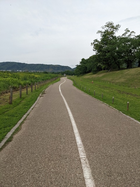 PXL_20220427_045043250