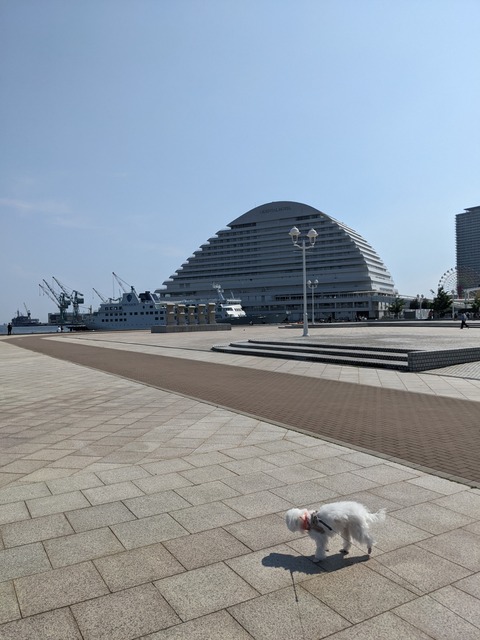 PXL_20220518_055026640