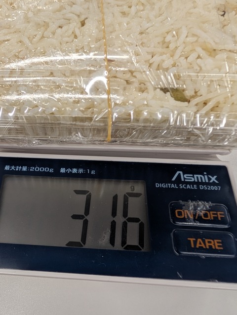 PXL_20251029_033534308