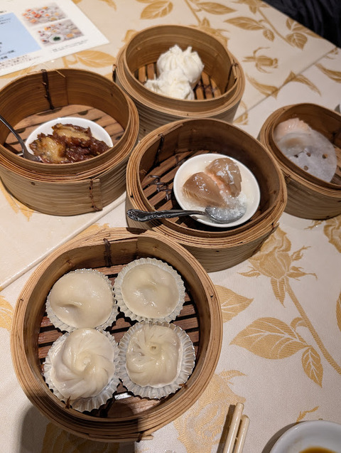 PXL_20251104_035308853