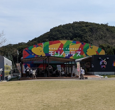 PXL_20220406_043247368