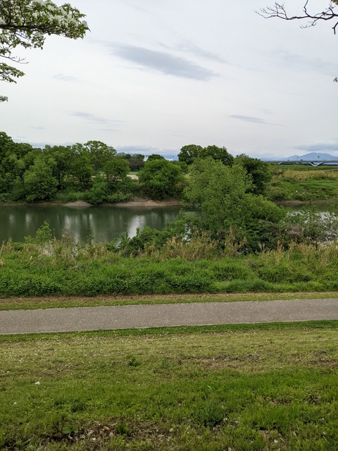 PXL_20220427_045651797