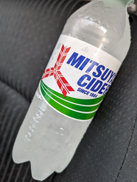 PXL_20230726_045004144