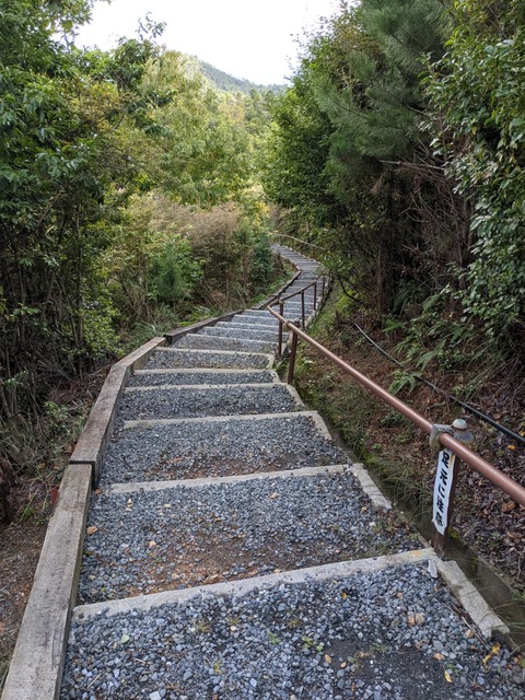PXL_20211017_042308044