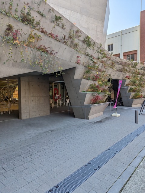 PXL_20221220_030319483