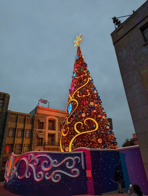 PXL_20221122_075936755