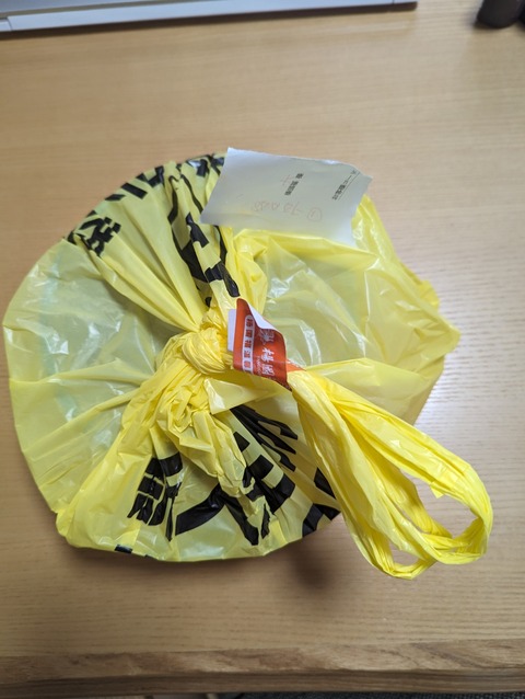 PXL_20230627_093349186