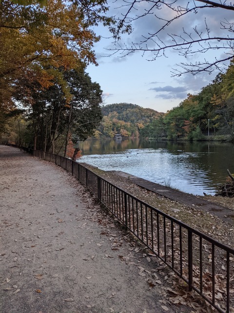 PXL_20211117_073750999
