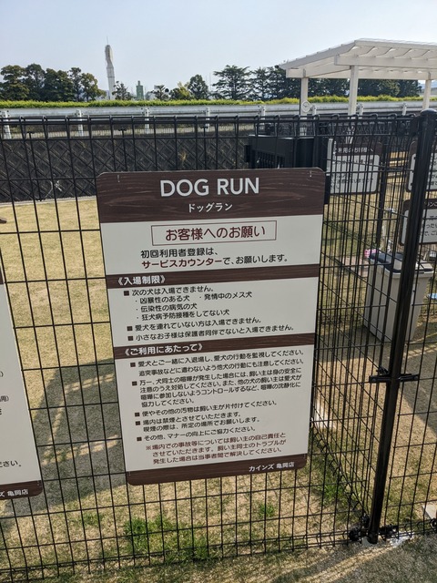 PXL_20220420_055302854