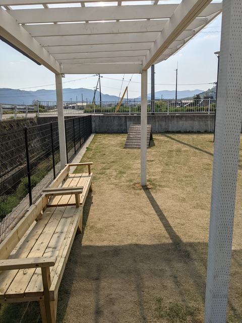 PXL_20220420_060232957