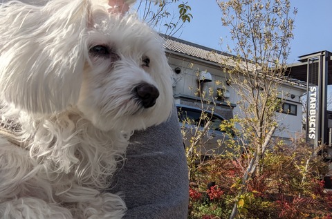 PXL_20220316_070749866