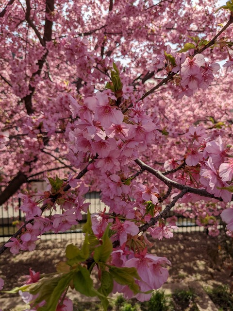 PXL_20220316_045719002