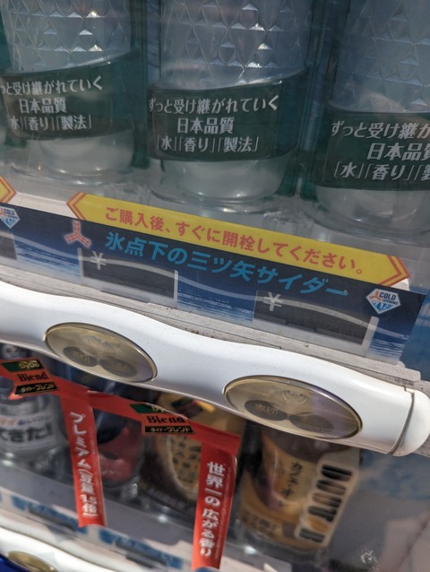 PXL_20230726_044845396