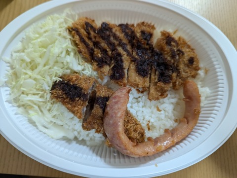 PXL_20240815_114708477