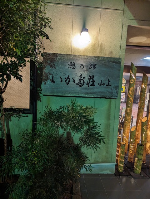 PXL_20231111_084414731