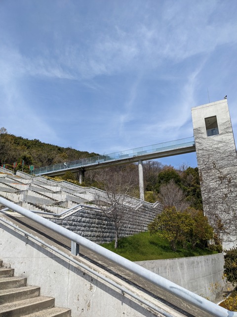 PXL_20220406_022151734