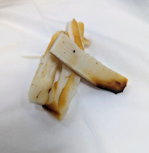 PXL_20221124_055100679