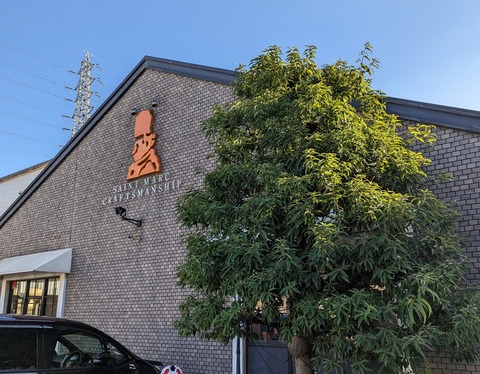 PXL_20221127_050645754