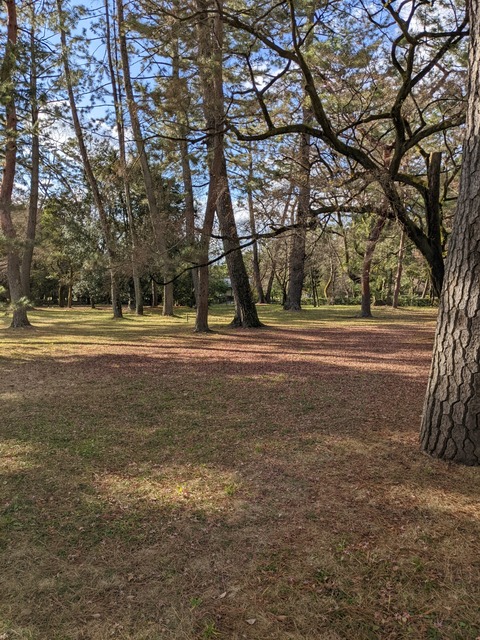 PXL_20211219_043842283
