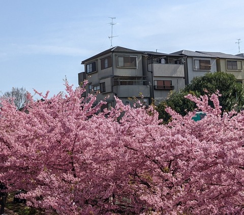 PXL_20220316_044903307~2