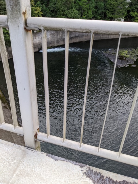 PXL_20220806_084407511
