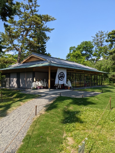 PXL_20220525_060020836