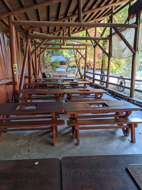 PXL_20211110_022821347