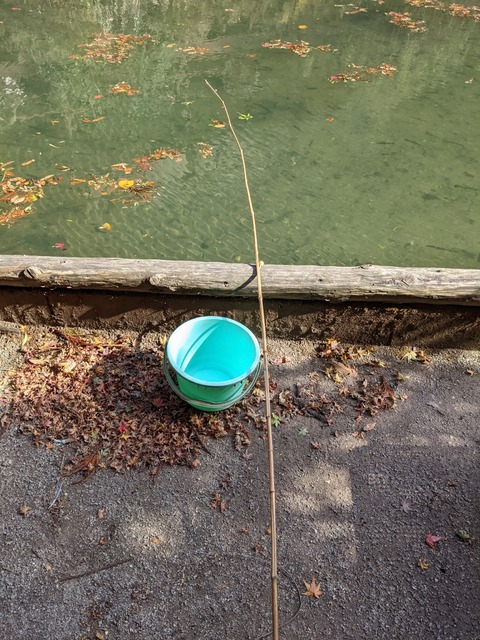 PXL_20211110_040743452