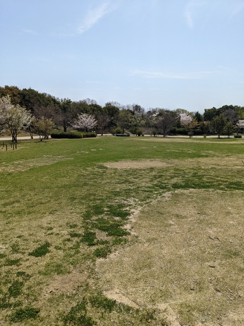 PXL_20220406_023159810
