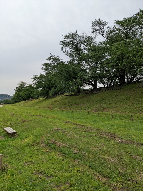 PXL_20220427_043758053