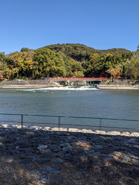 PXL_20211123_024413078
