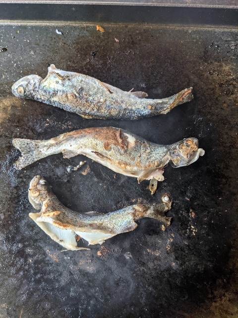 PXL_20211110_042710467