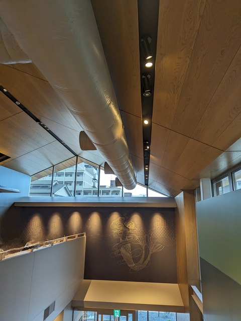 PXL_20230809_065923920~2