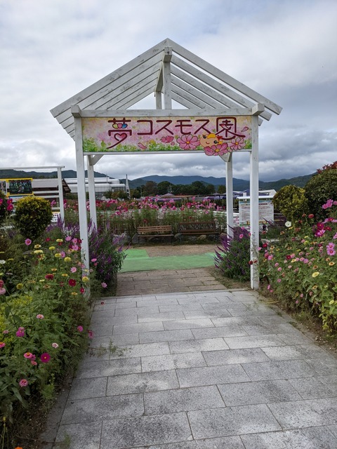 PXL_20211013_023835934