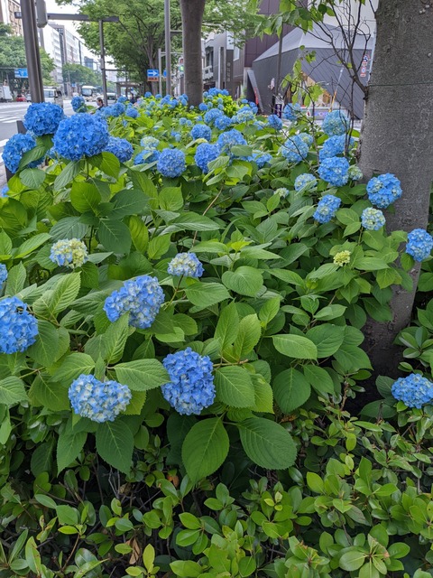 PXL_20220527_065002315
