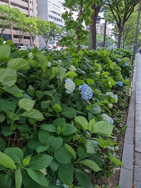 PXL_20220527_064835014