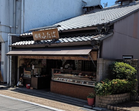 PXL_20240521_024343527~2