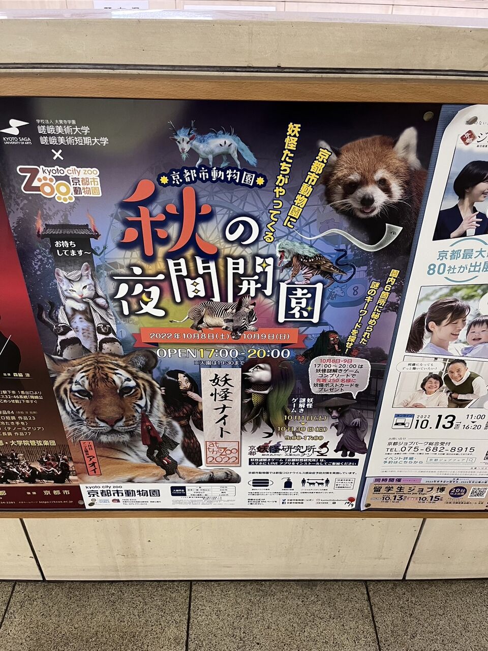 京都市動物園 で10月8日 土 9日 日 秋の夜間開園 を開催 京都目線 Fwf彡