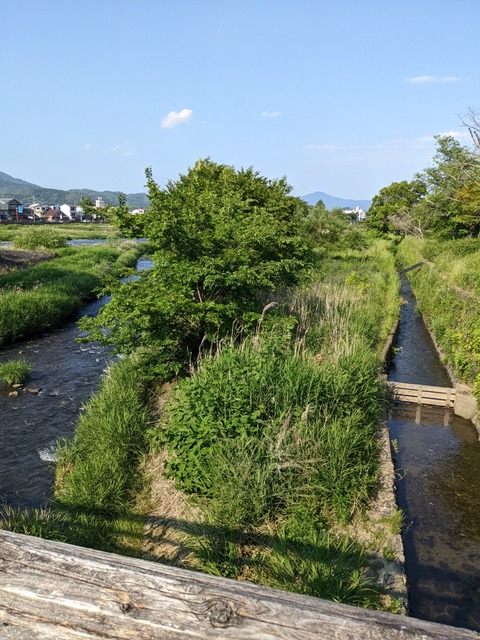 PXL_20220522_070855491
