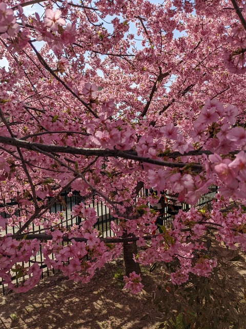 PXL_20220316_044801135