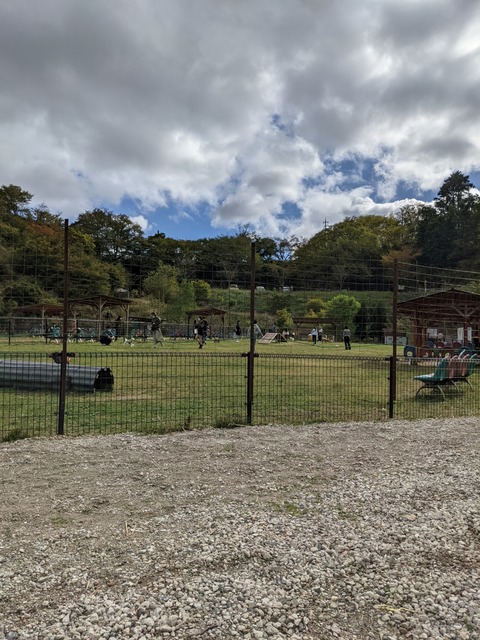 PXL_20211017_045432561