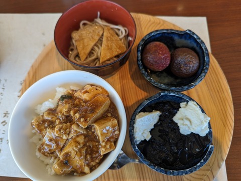 PXL_20231108_051400608