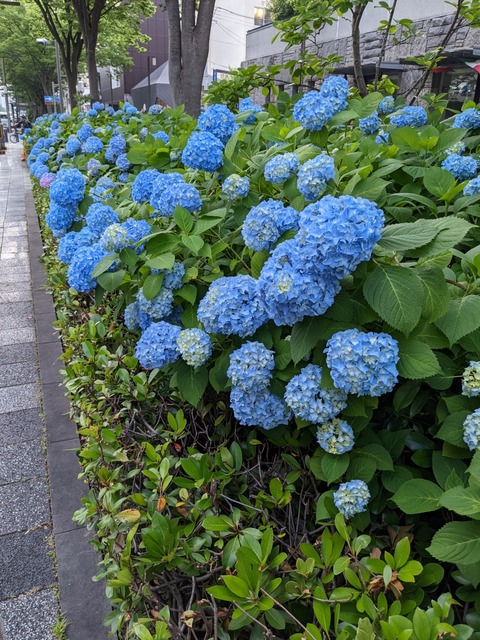 PXL_20220527_064939841