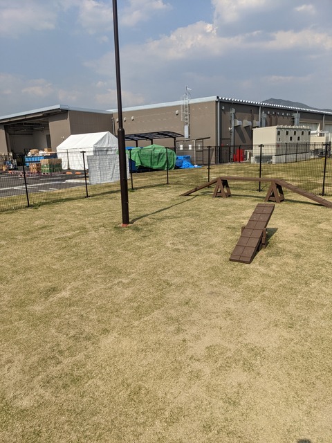 PXL_20220420_060153897