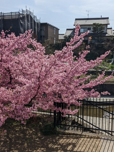 PXL_20220316_044855189