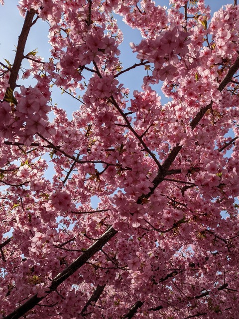 PXL_20220316_045731417