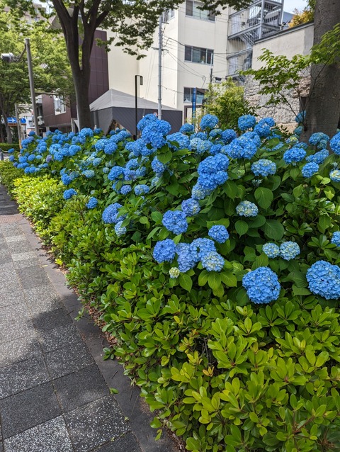 PXL_20230527_030034317