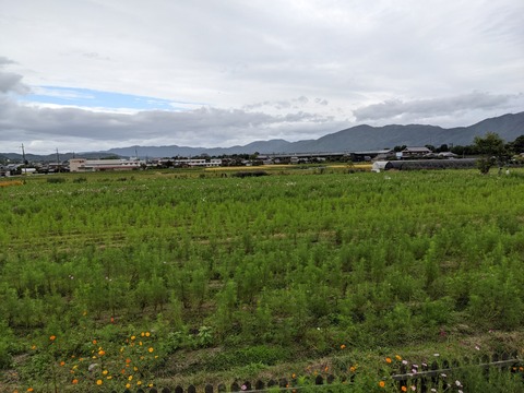 PXL_20221005_055649517