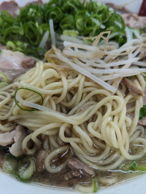 PXL_20230704_033327438