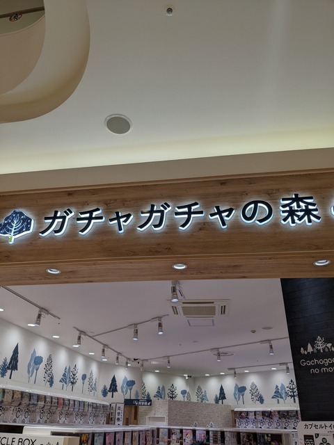 PXL_20211225_092047039